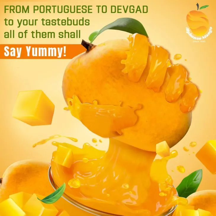 alphonso mango pulp buy online