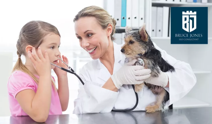 SEO for Veterinarians and Animal Hospitals