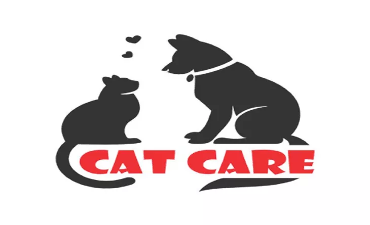 Buy Cat Litter from the Best Cat Litter Manufacturer in India