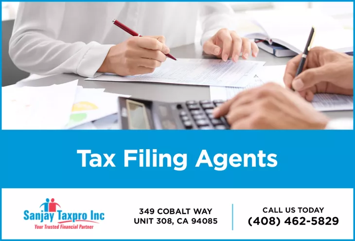 Tax Filing Agent