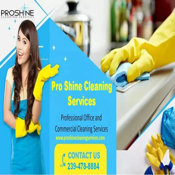 Pro Shine Cleaning Services