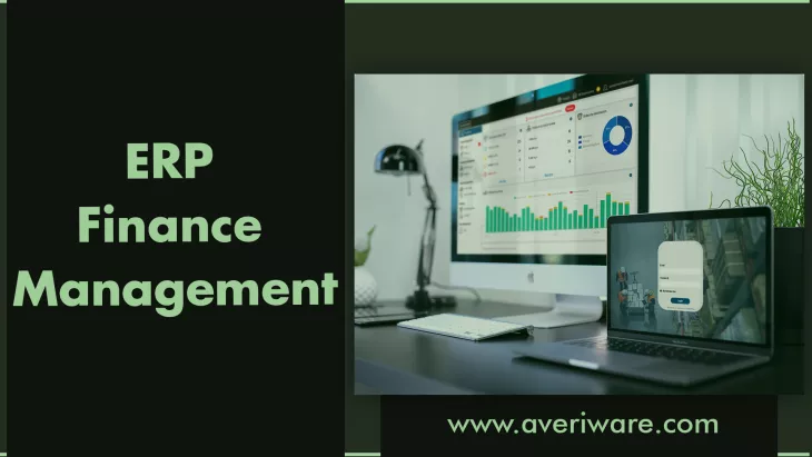 ERP financial management software
