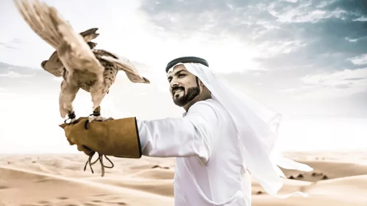 Falconry Display in Dubai