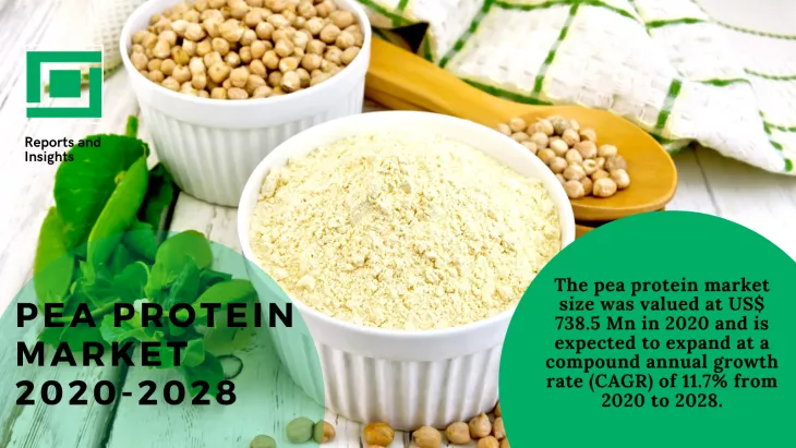 pea protein market research report