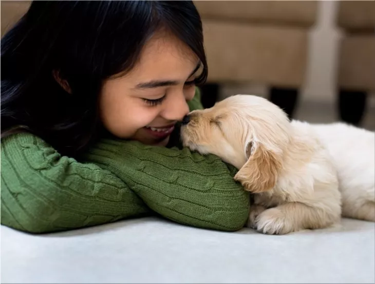 Gifting a Puppy: A Comprehensive Checklist for New Pet Owners
