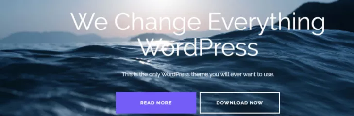 Best Free Wordpress theme
