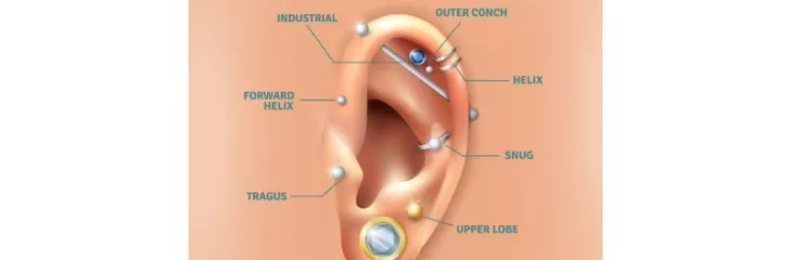 Best 10 Types Of Ear Piercings