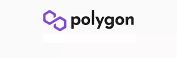 Polygon Development Company