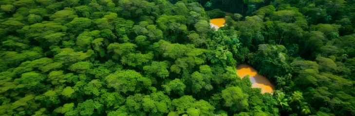 Tambopata National Reserve