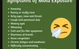 mold symptoms
