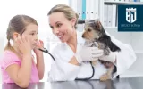 SEO for Veterinarians and Animal Hospitals