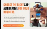 SAP alternative