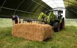 Shield Canopy™ - Agricultural Shelter