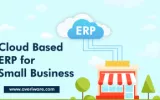 cloud erp for small business