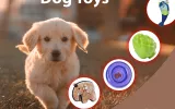 Interactive dog toys