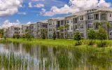 pet friendly apartments in Riverview