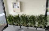 artificial plant supplier