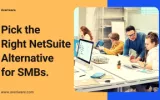 NetSuite alternative