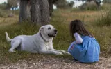 niña y perro