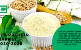 pea protein market research report