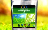 Organic SuperGreens Powder
