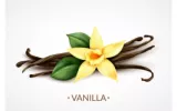 Where Does Vanilla Flavoring Come From 